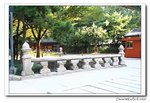 IMG_4055