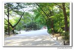 IMG_4057