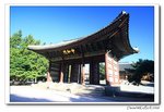 IMG_4061
