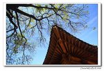 IMG_4079