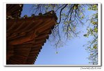 IMG_4126