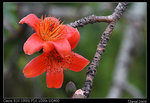 IMG_1904a