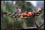 IMG_1916a