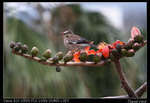 IMG_1918a
