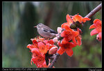 IMG_1922a
