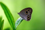 IMG_8110a