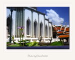DPP_0023