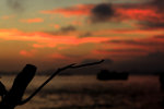 _MG_1590a