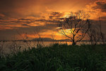 IMG_0601a