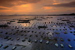 _MG_2697a