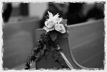 aIMG_4283