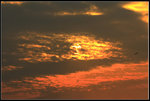 _MG_0318a