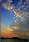 _MG_0336a