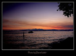 IMG_6791a