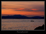 IMG_6805a