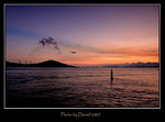IMG_6814a