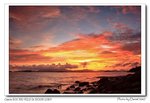 IMG_7214a