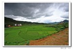 IMG_4532