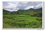 IMG_4540