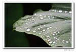 IMG_4802