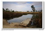 IMG_2461