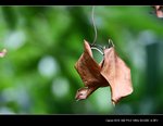 IMG_3664
