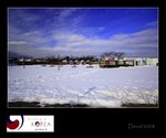 IMG_5845