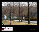 IMG_9059