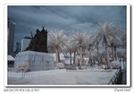 DSC_1468a