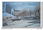 DSC_1474a