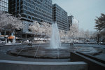 DSC_2044a