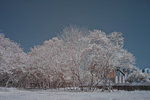 DSC_2348a