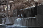 DSC_2361a