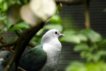 @400mm