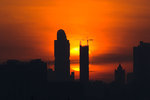 _MG_6793-2