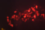 _MG_9767-2