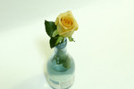 ISO 800