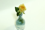ISO 1600