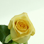 ISO 3200 (100% crop)