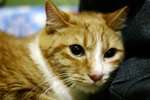 _MG_0587-2