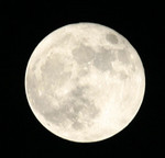 70-200 f/4 + 1.4x TC