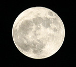 70-200 f/4 + 1.4x TC
