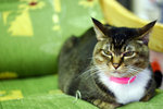 _MG_0421-2