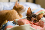 _MG_3012-2