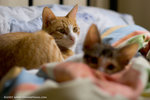 _MG_3013-2