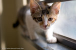 _MG_3014-2