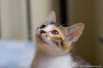 _MG_3034-2