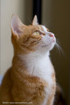 _MG_3039-2