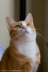 _MG_3043-2
