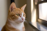 _MG_3044-2